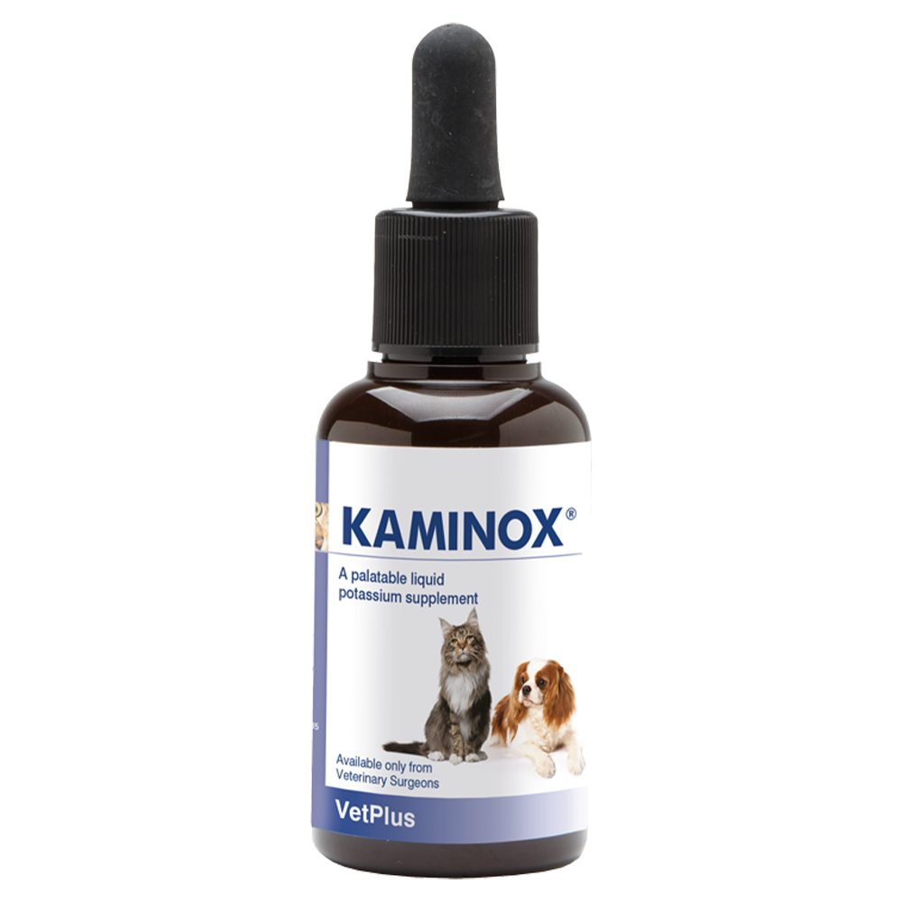 KAMINOX®