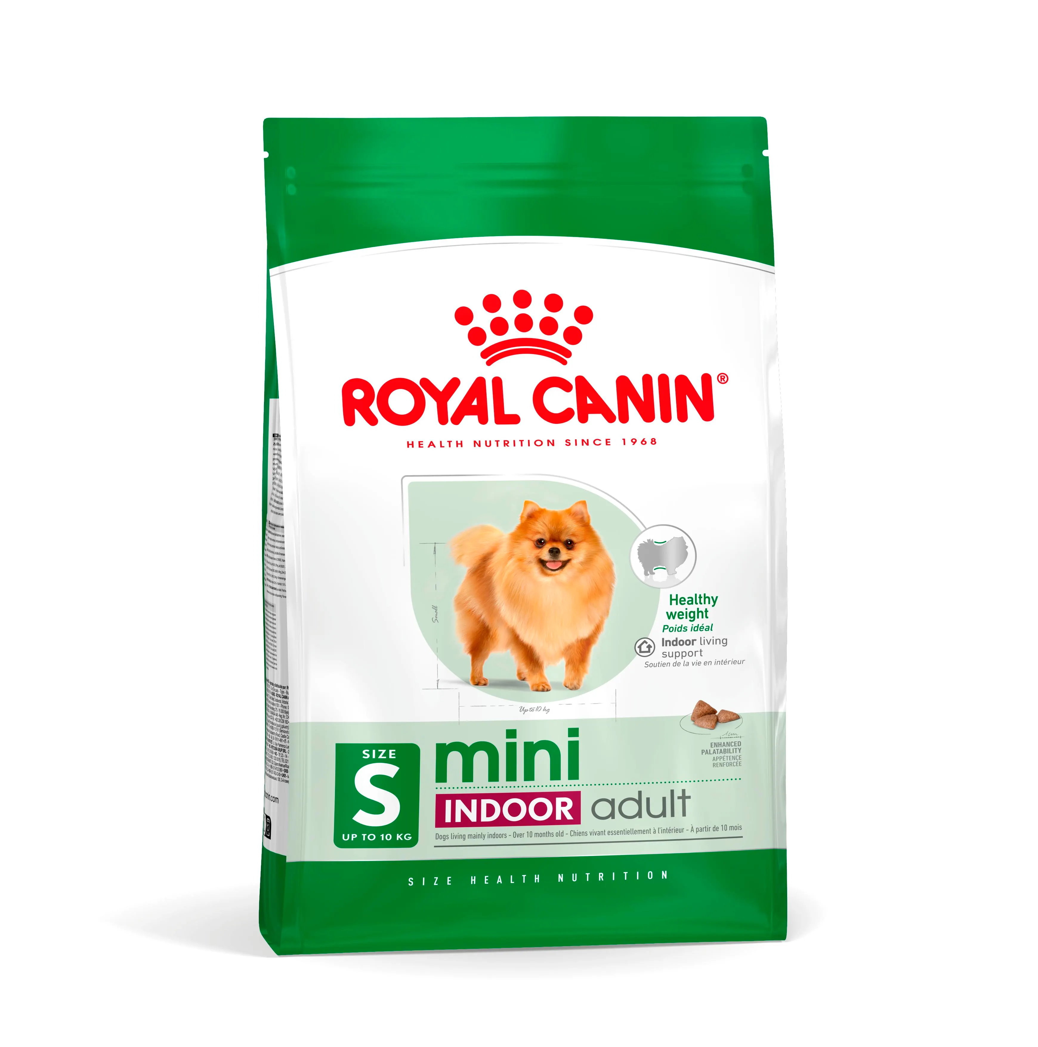 Mini Indoor Adulto