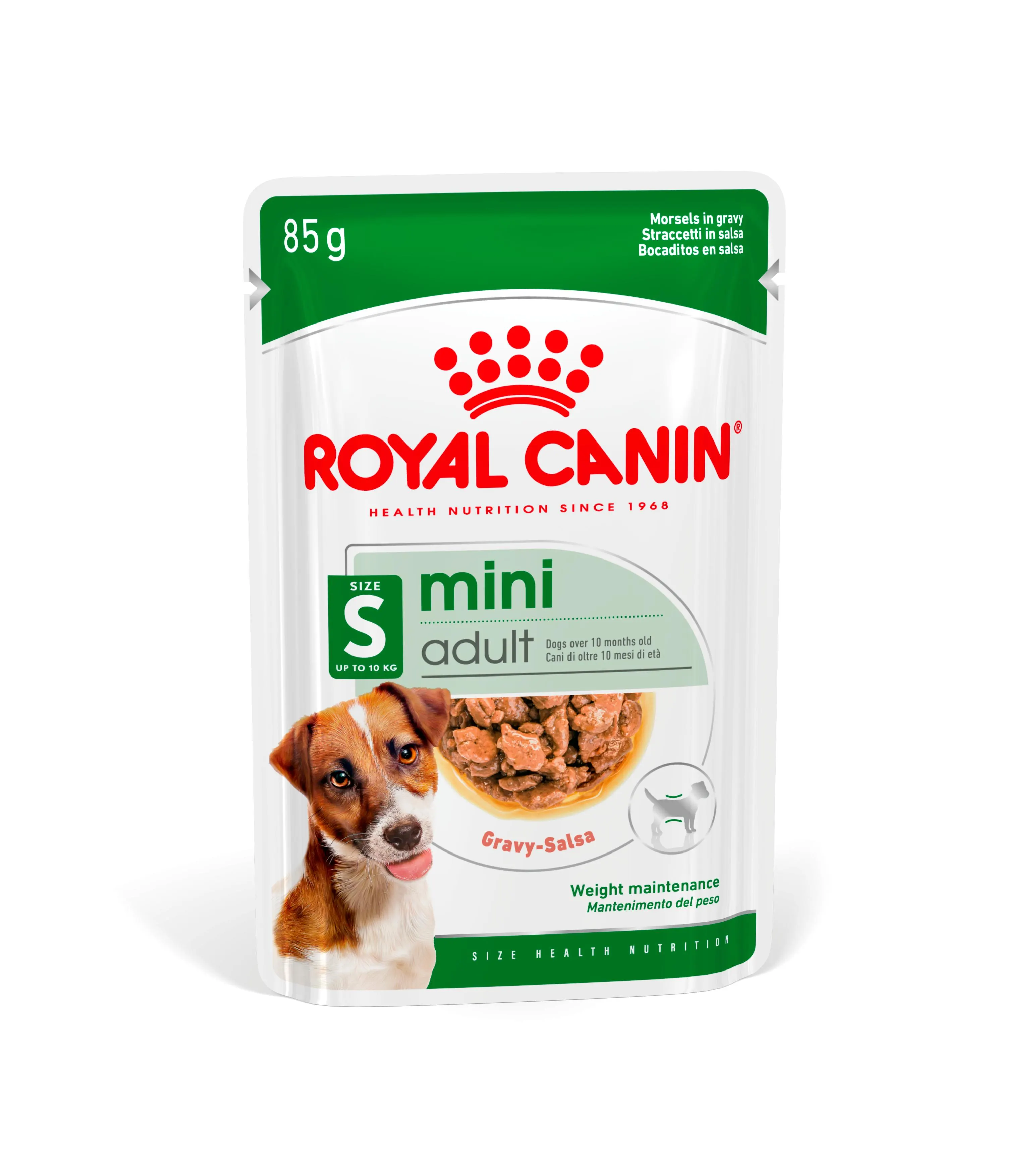 Mini Adulto Alimento Húmedo