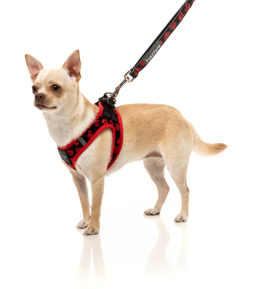 Heartbreaker Step In Harness