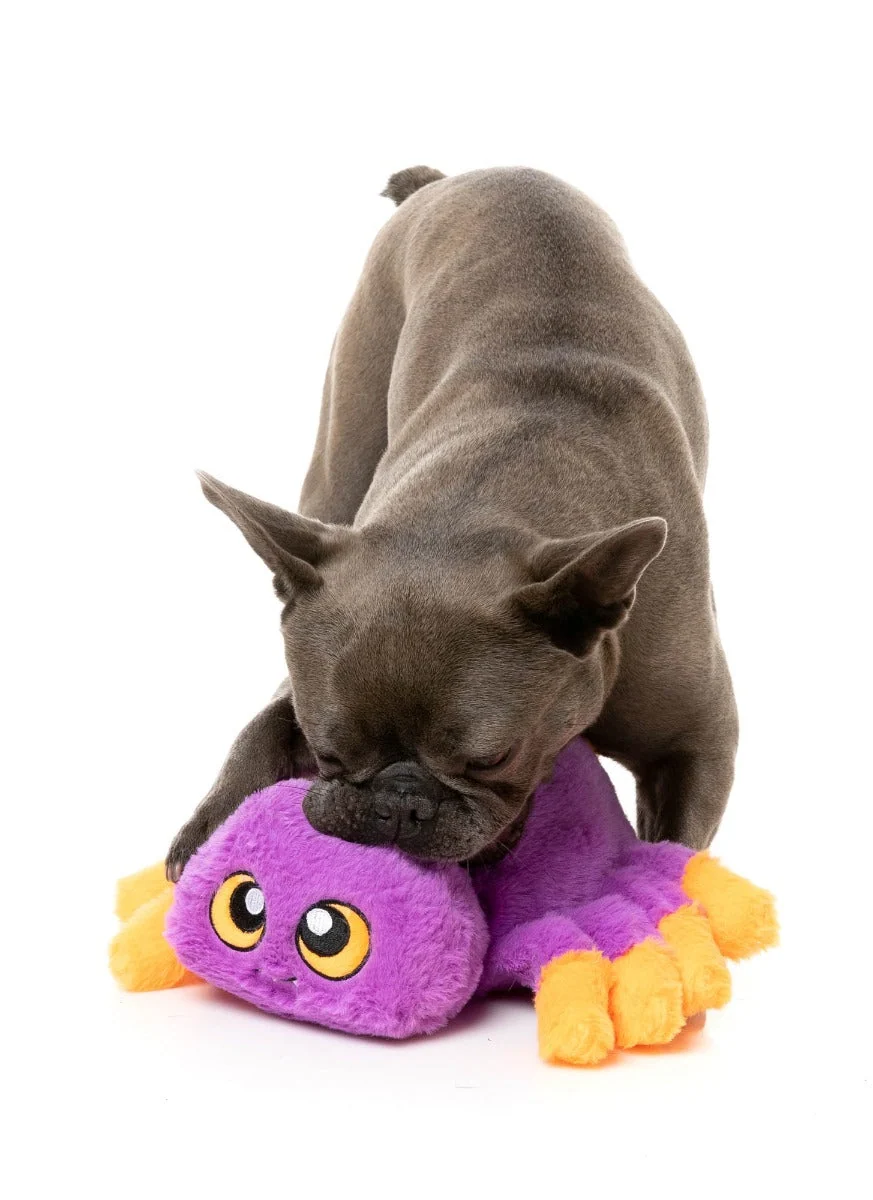 Weborah The Spider - Dog Toy