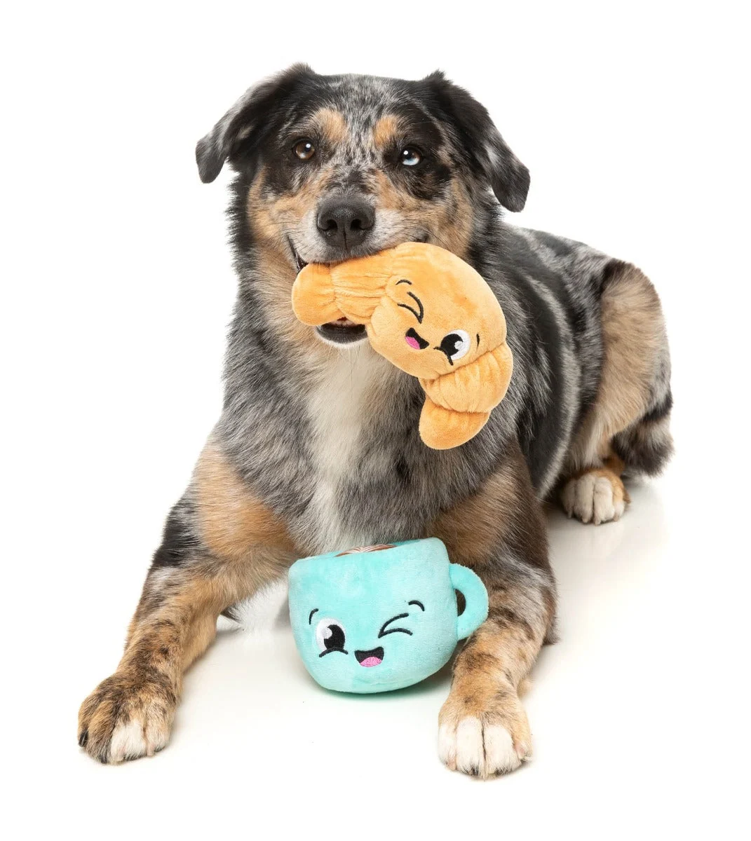 Croissant & Cappuccino 2PK - Dog Toy