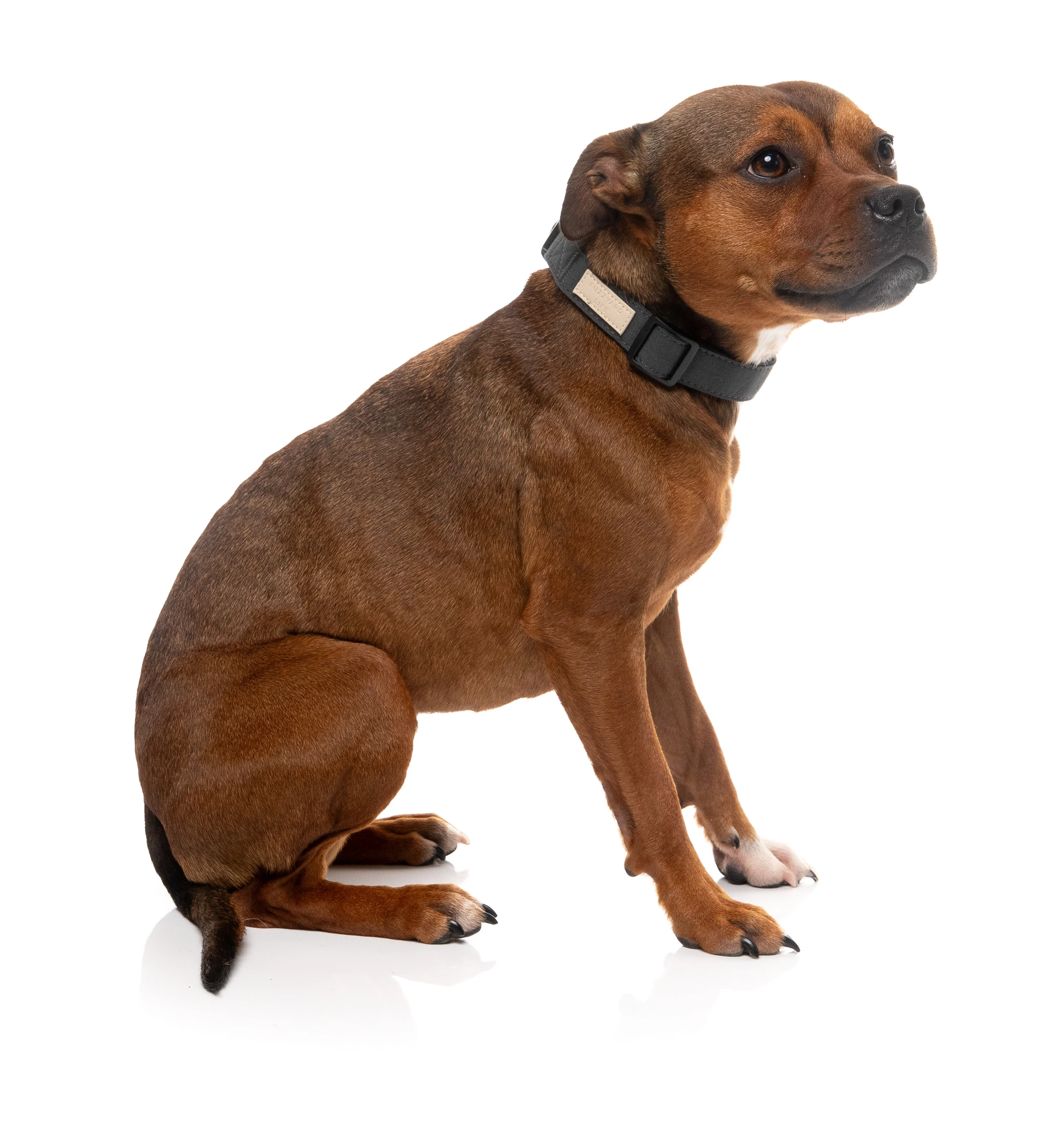 FuzzYard Life Dog Collar - Slate Grey - Extra Small