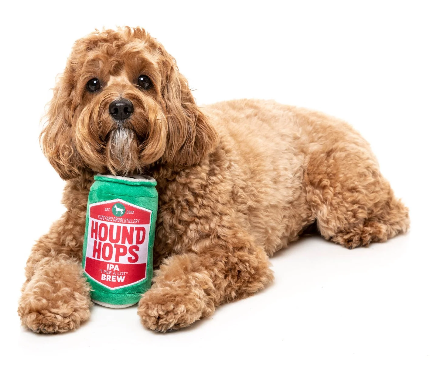Hound Hops - Dog Toy
