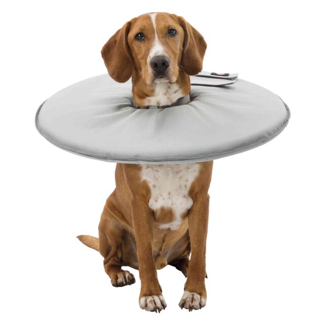 Protective Collar