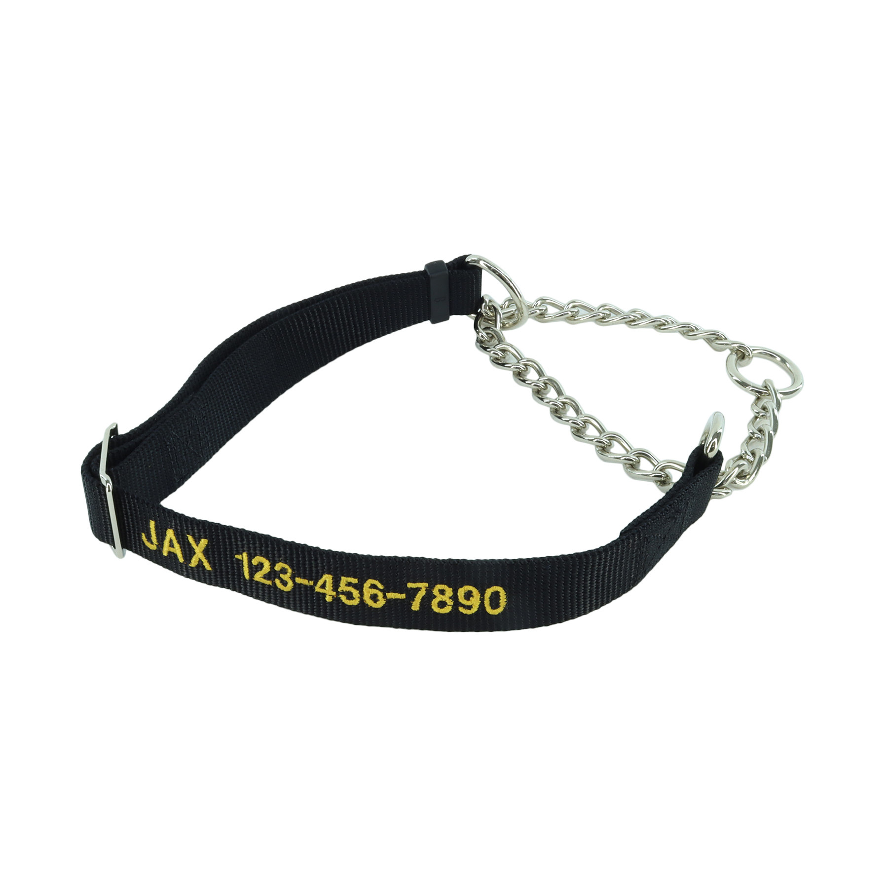 Coastal Adjustable Check Training Collar for Dogs - Personalized