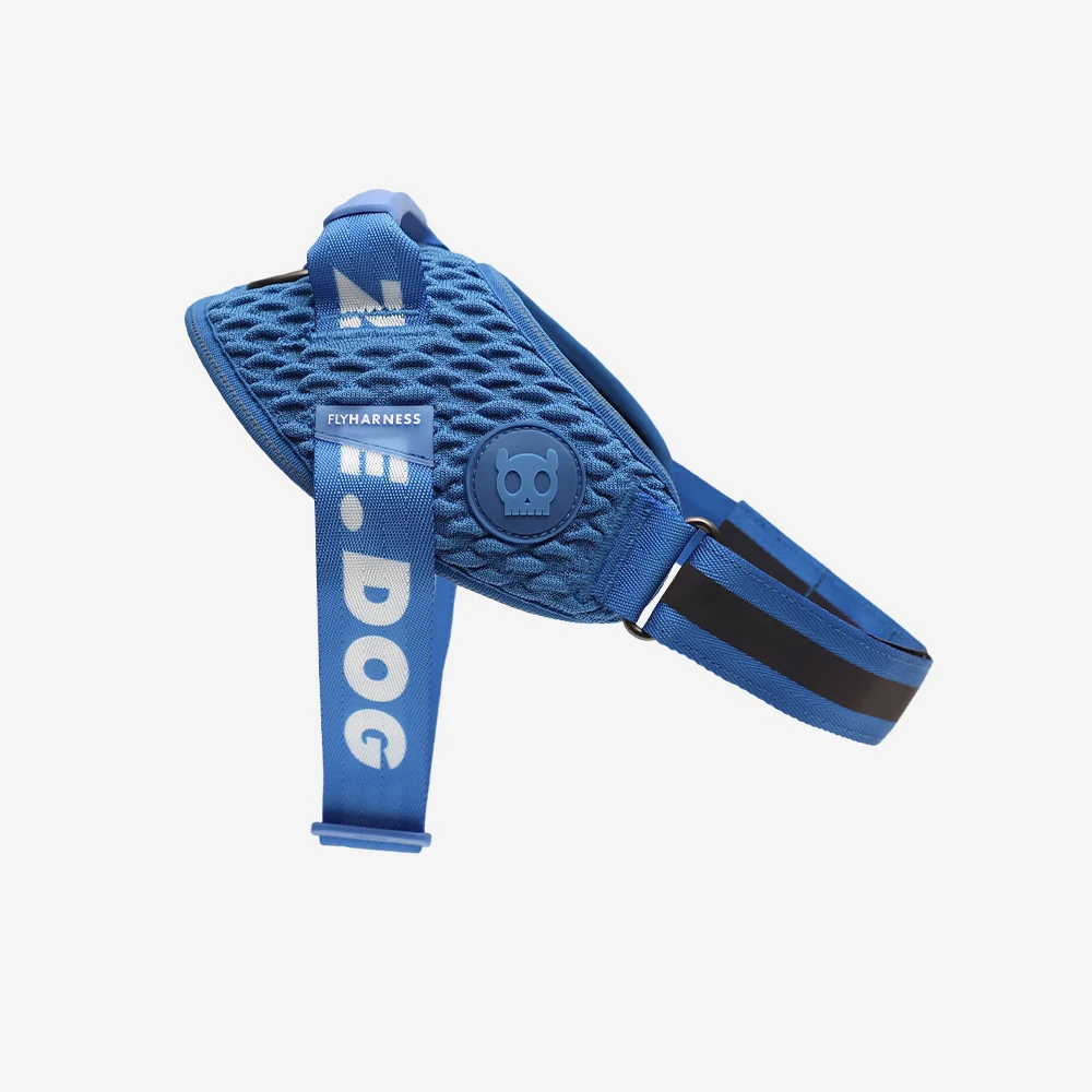 Slam Dunk | FlyHarness