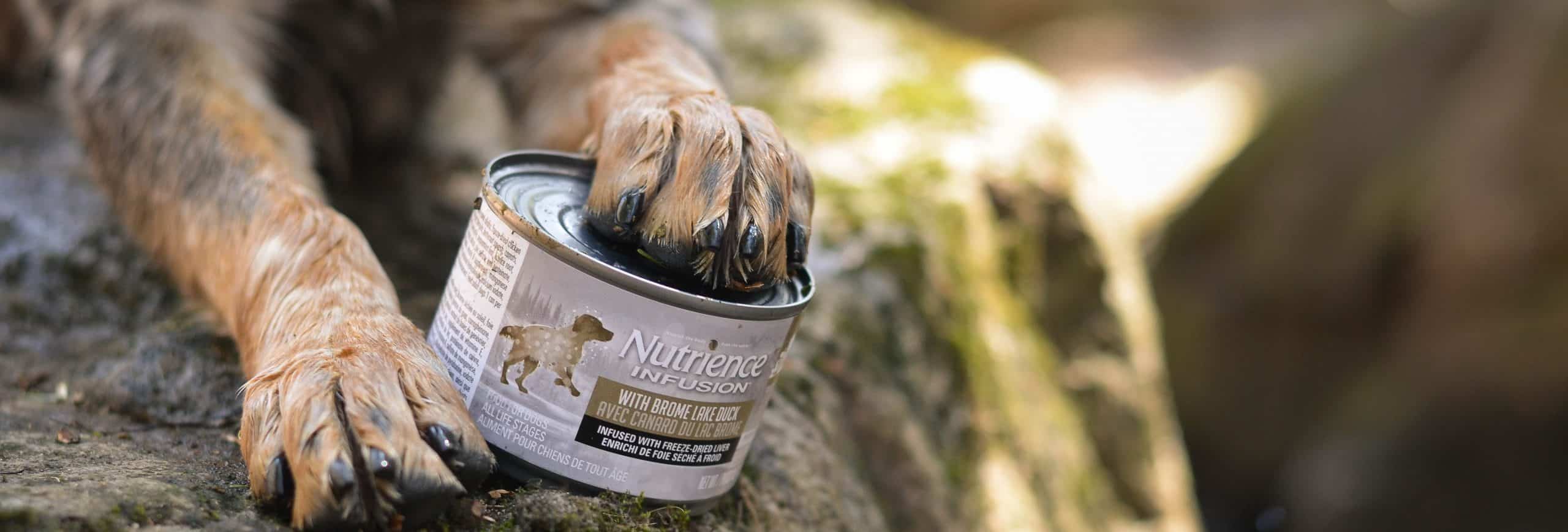 Infusion Pâté with Brome Lake Duck – Wet Dog Food