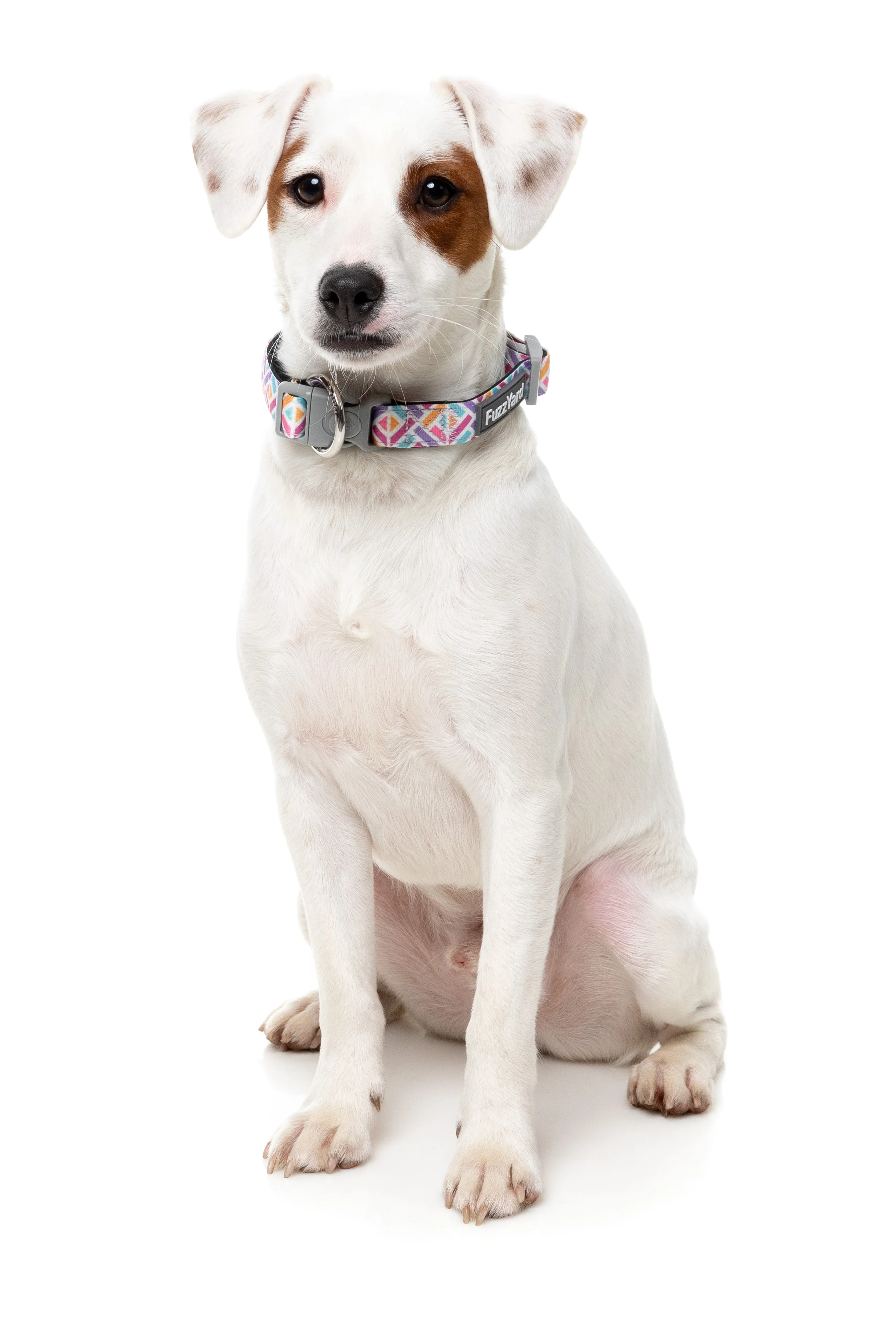 Bubblegum Burst - Dog Collar