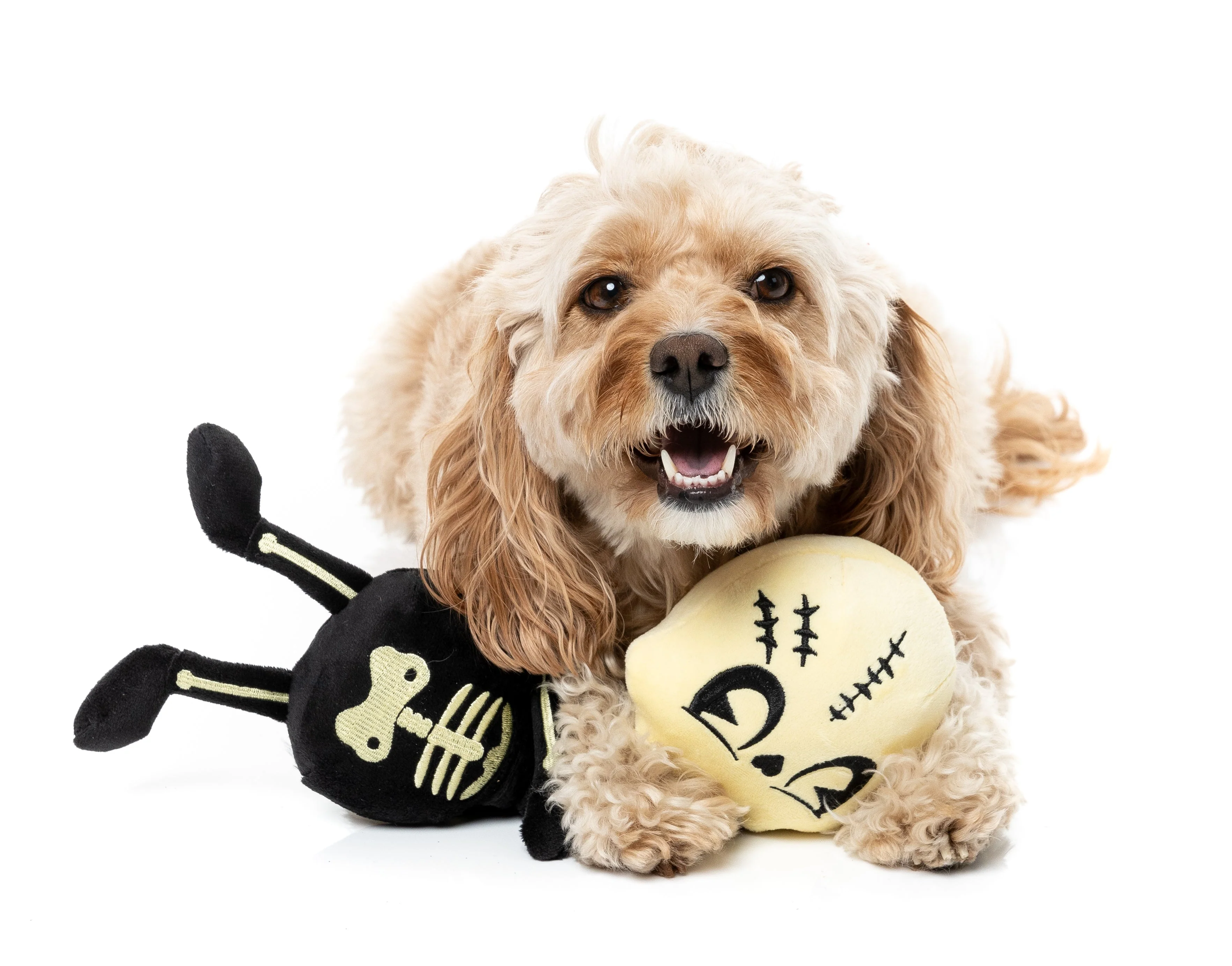 FuzzYard Dog Toy - Jerry Spinefield