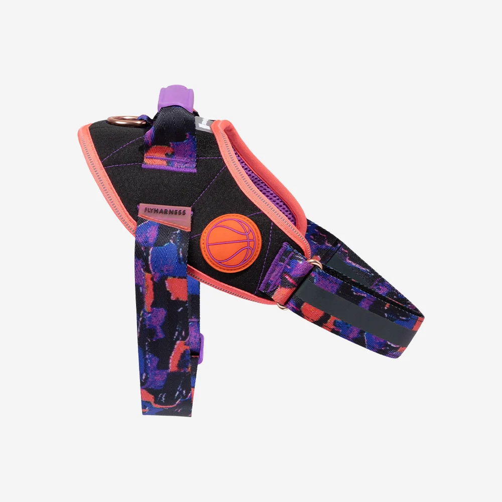 Reebok Court | Flyharness