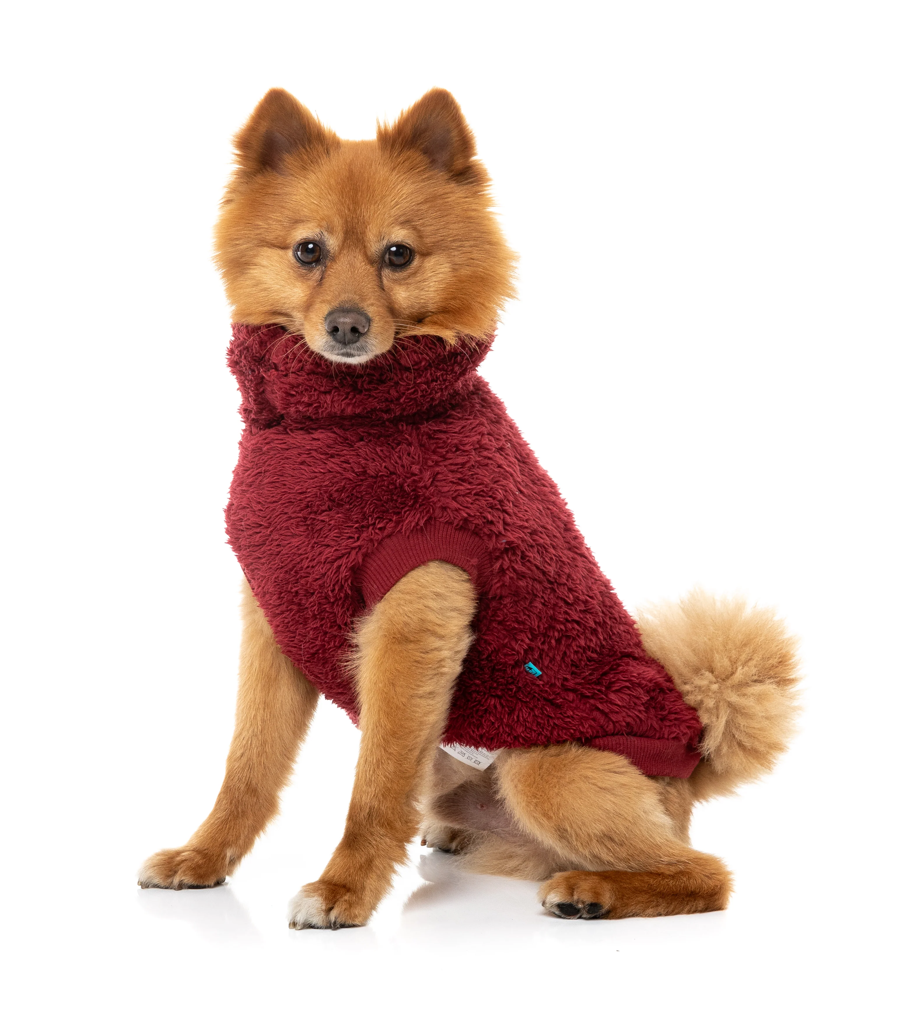 Turtle Teddy Sweater 26 - Maroon