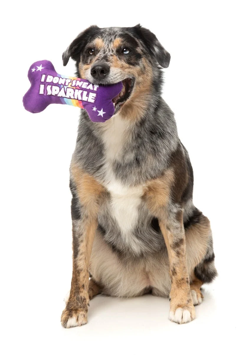 Sparkle Bone - Dog Toy