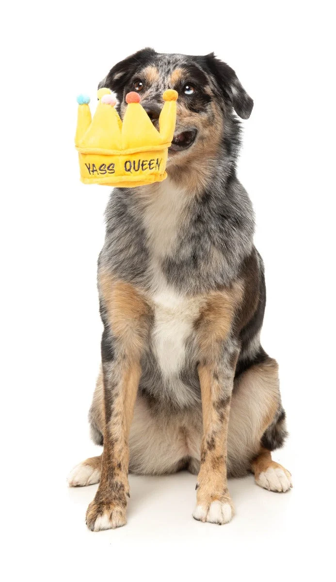 Yass Queen Crown - Dog Toy