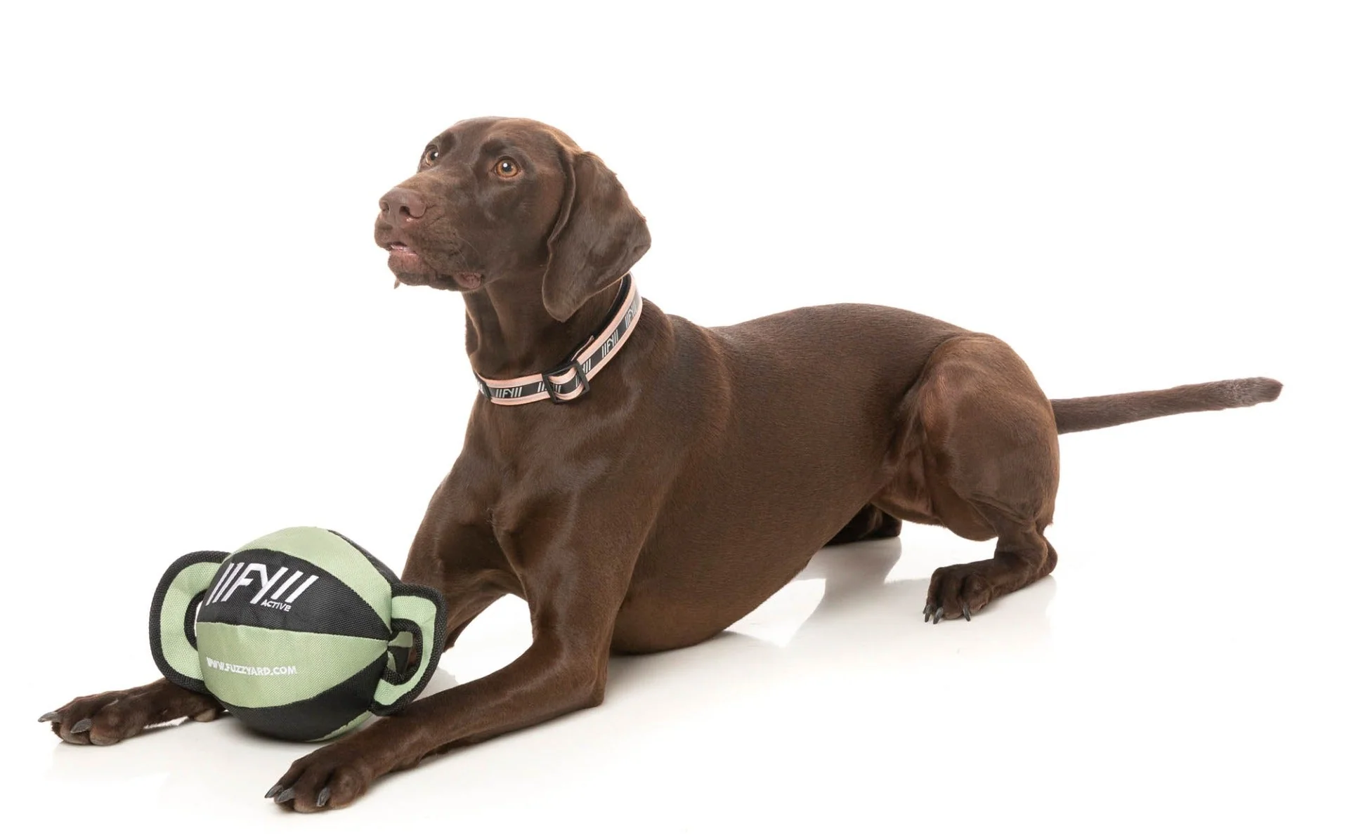 FY Active Ball Tug Dog Toy - Khaki