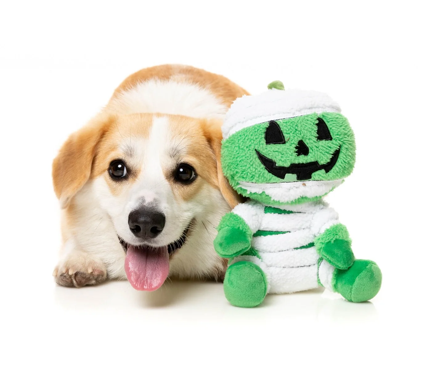 Jack-O Chan Mummy - Dog Toy