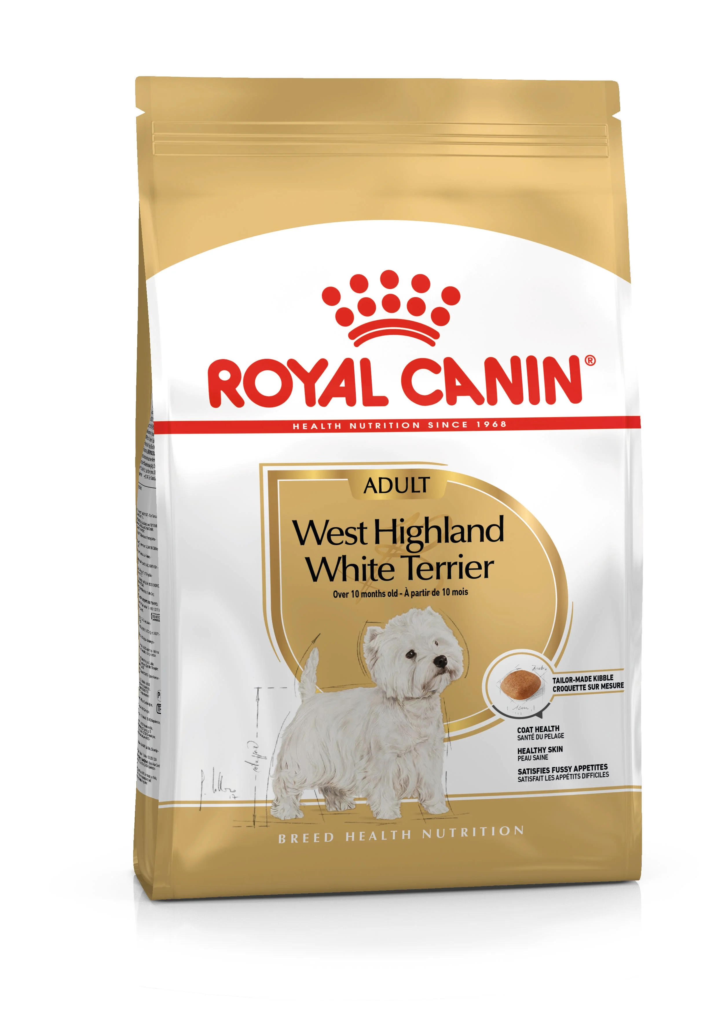 West Highland Adult