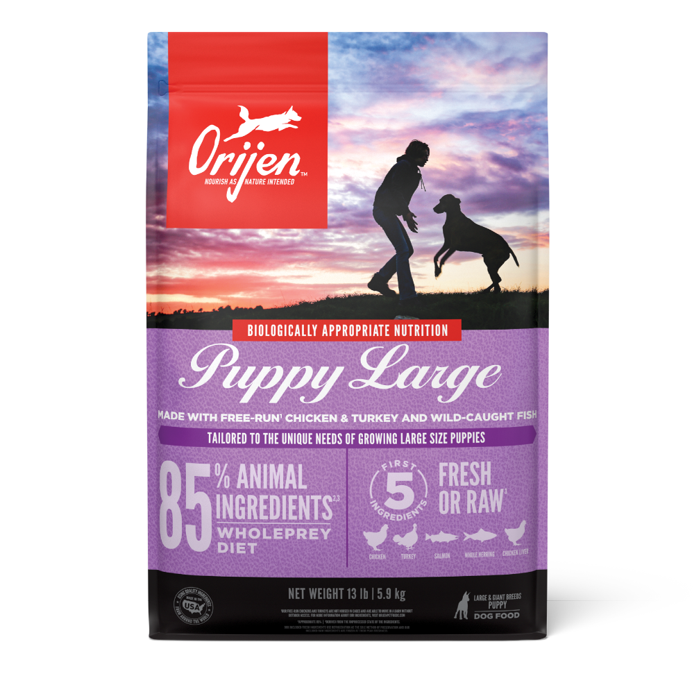 Puppy Large