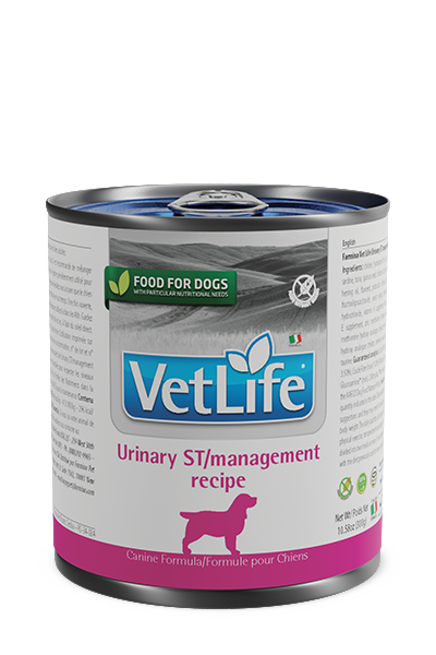 Urinary ST/management Canine Wet
