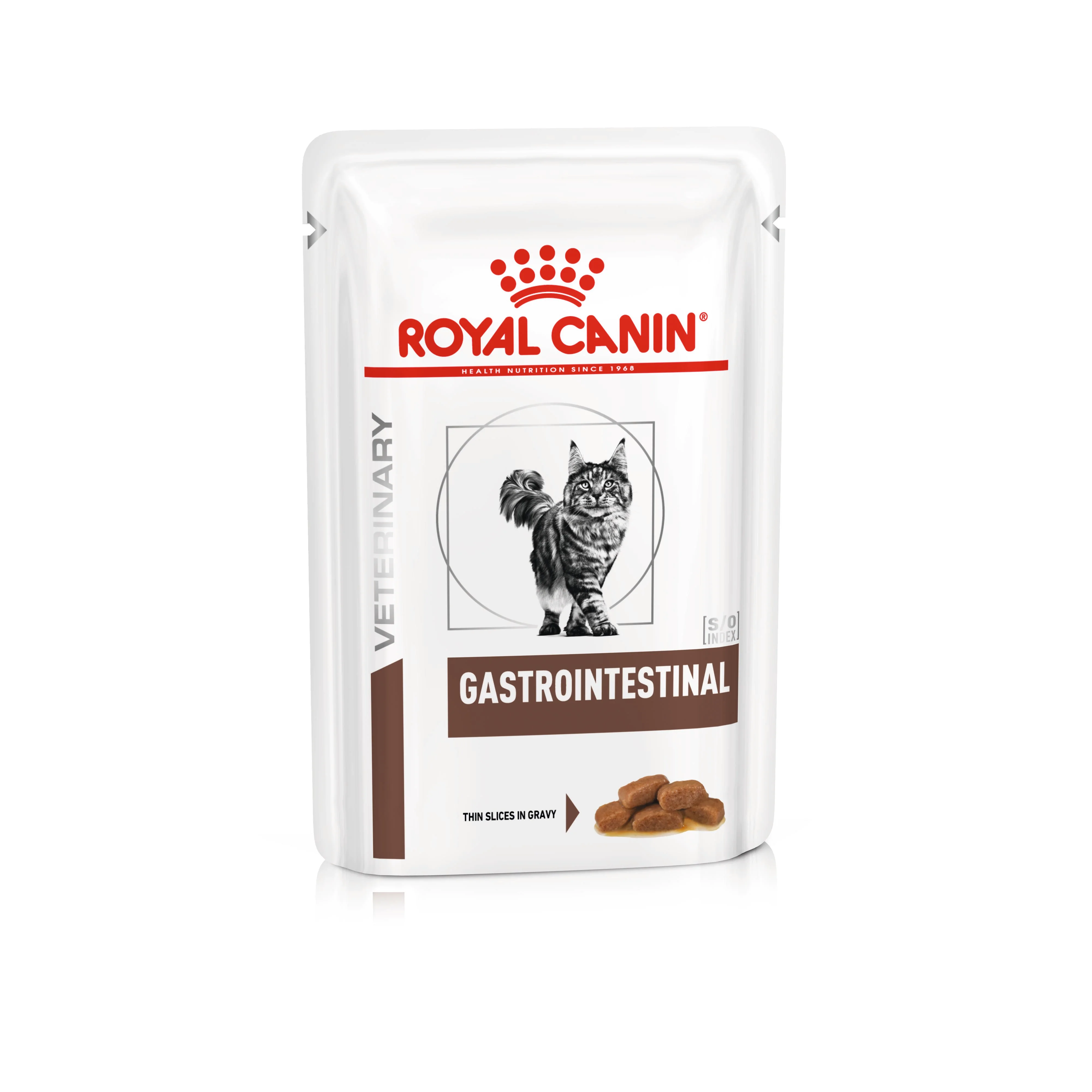 Gatrointestinal Felino - Pouch