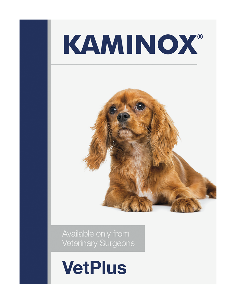 KAMINOX® SACHETS