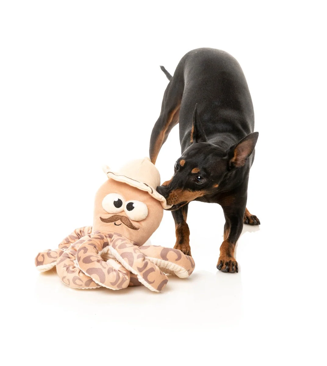 Octo-Posse Dog Toy - Sir David Octoborough