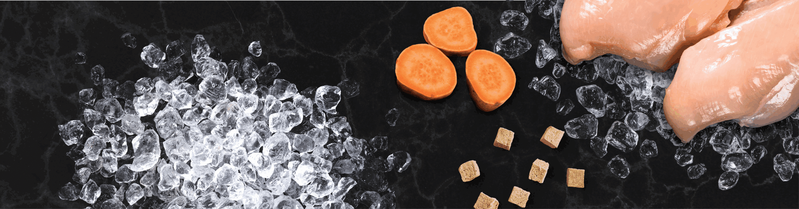 Freeze-Dried Raw <br> Chicken & Sweet Potato <br> Dog Food