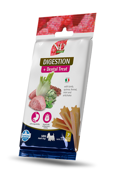 dental treat Digestion mini