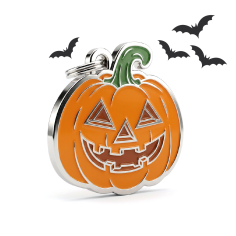 Halloween Pumpkin ID Tag