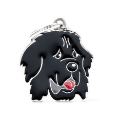 Friends Newfoundland ID Tag