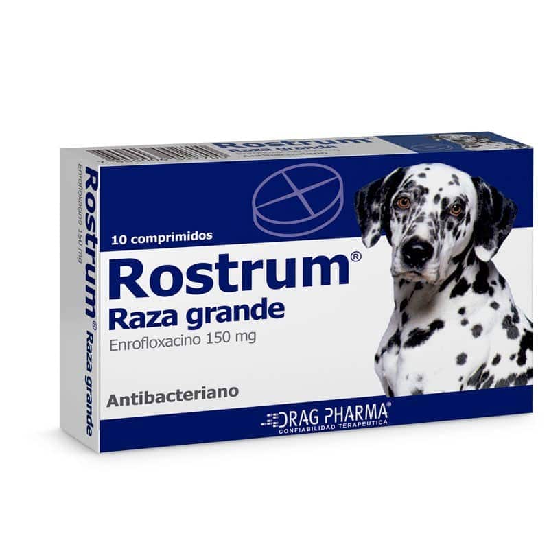 Rostrum® Raza Grande