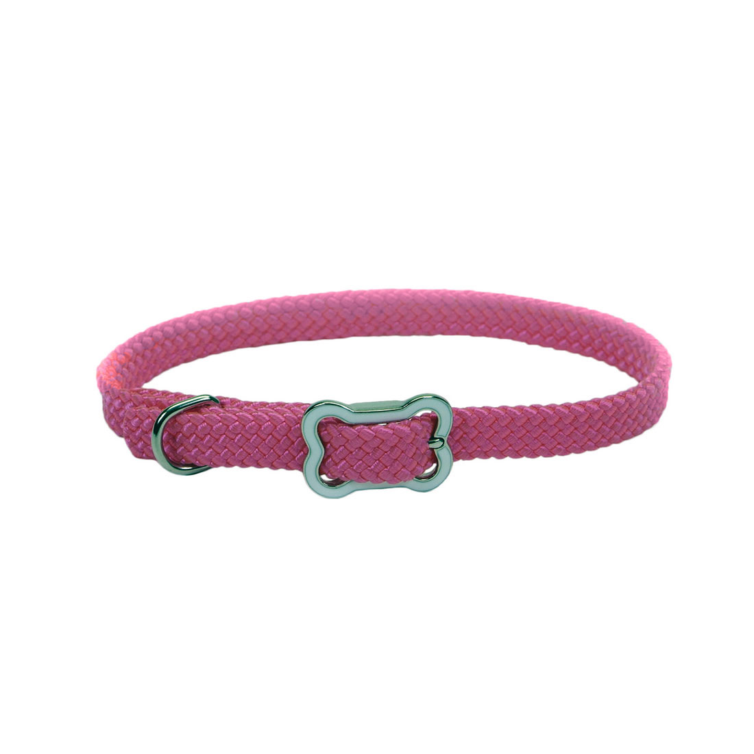Sunburst Dog Collar with Bone Buckle