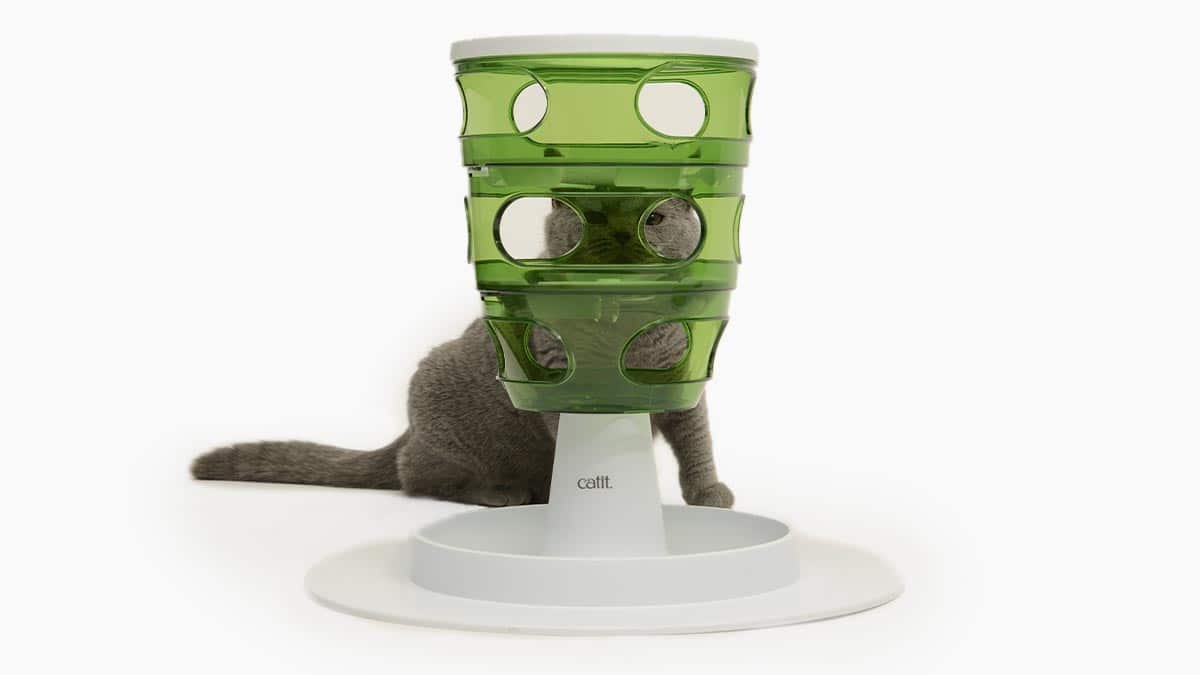 Senses Alimento tree
