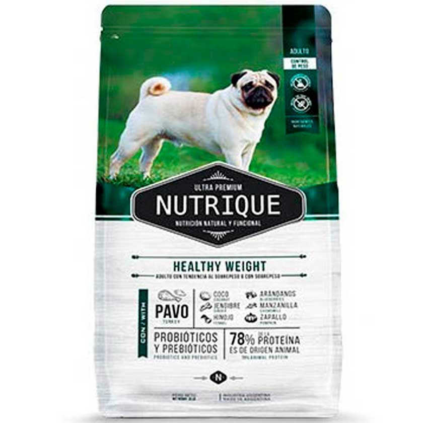 Healthy weight dog