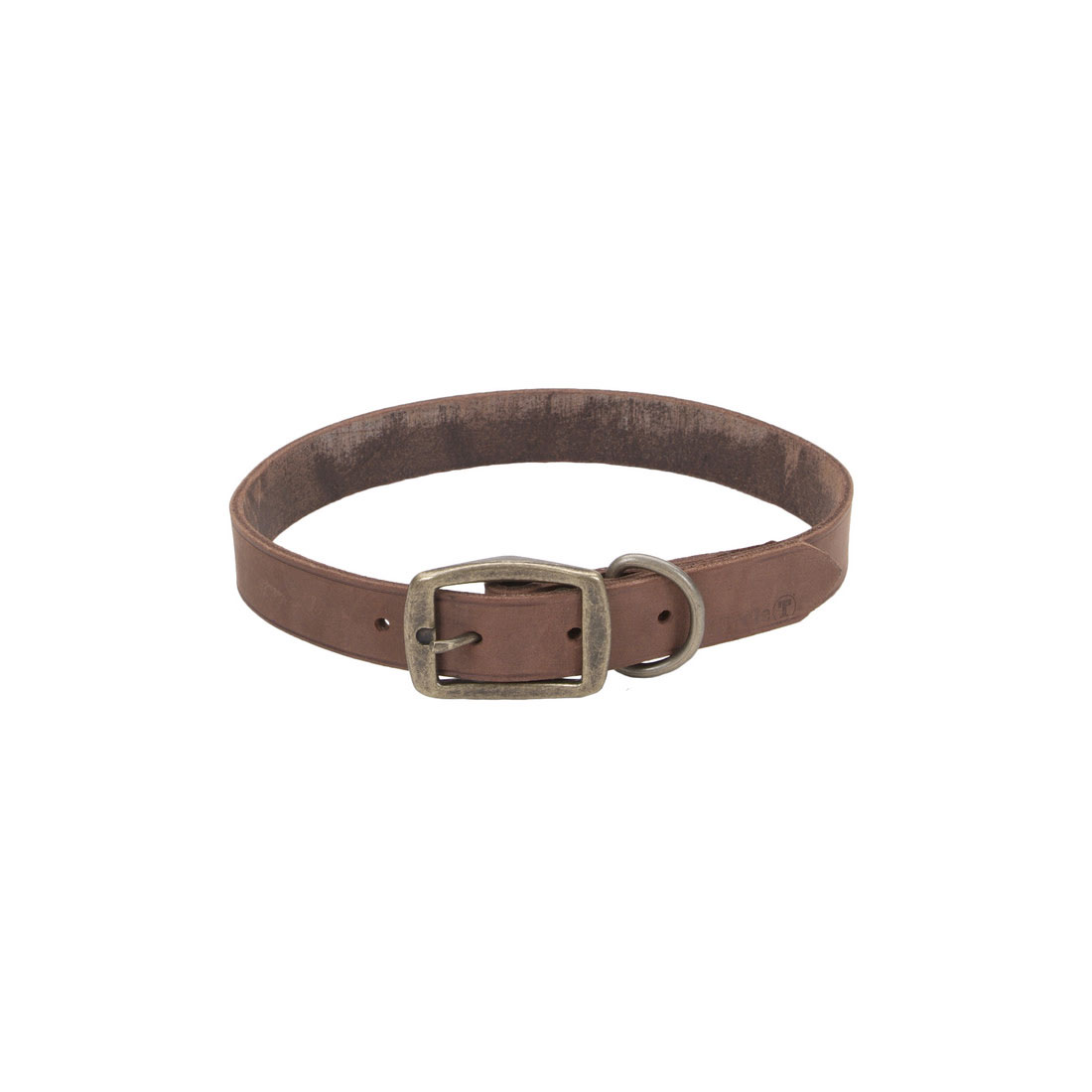 Circle T Rustic Leather Town Dog Collar