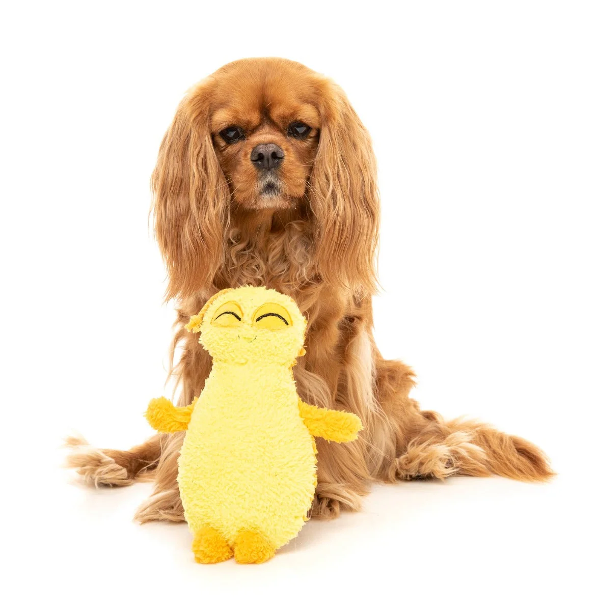 Belly The Bed Bug (Yellow) - Dog Toy