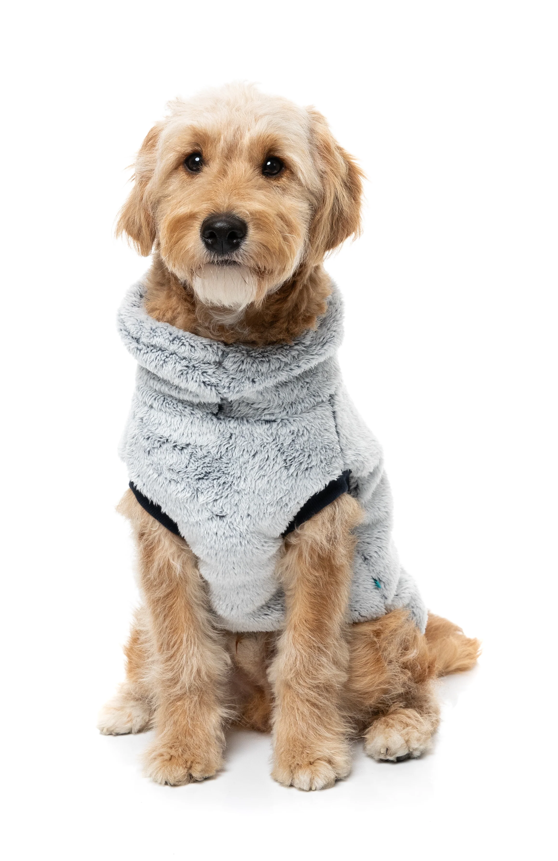 Frosted Teddy Sweater - Navy