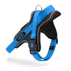 memopet® ID Customizable Blue Y-Harness
