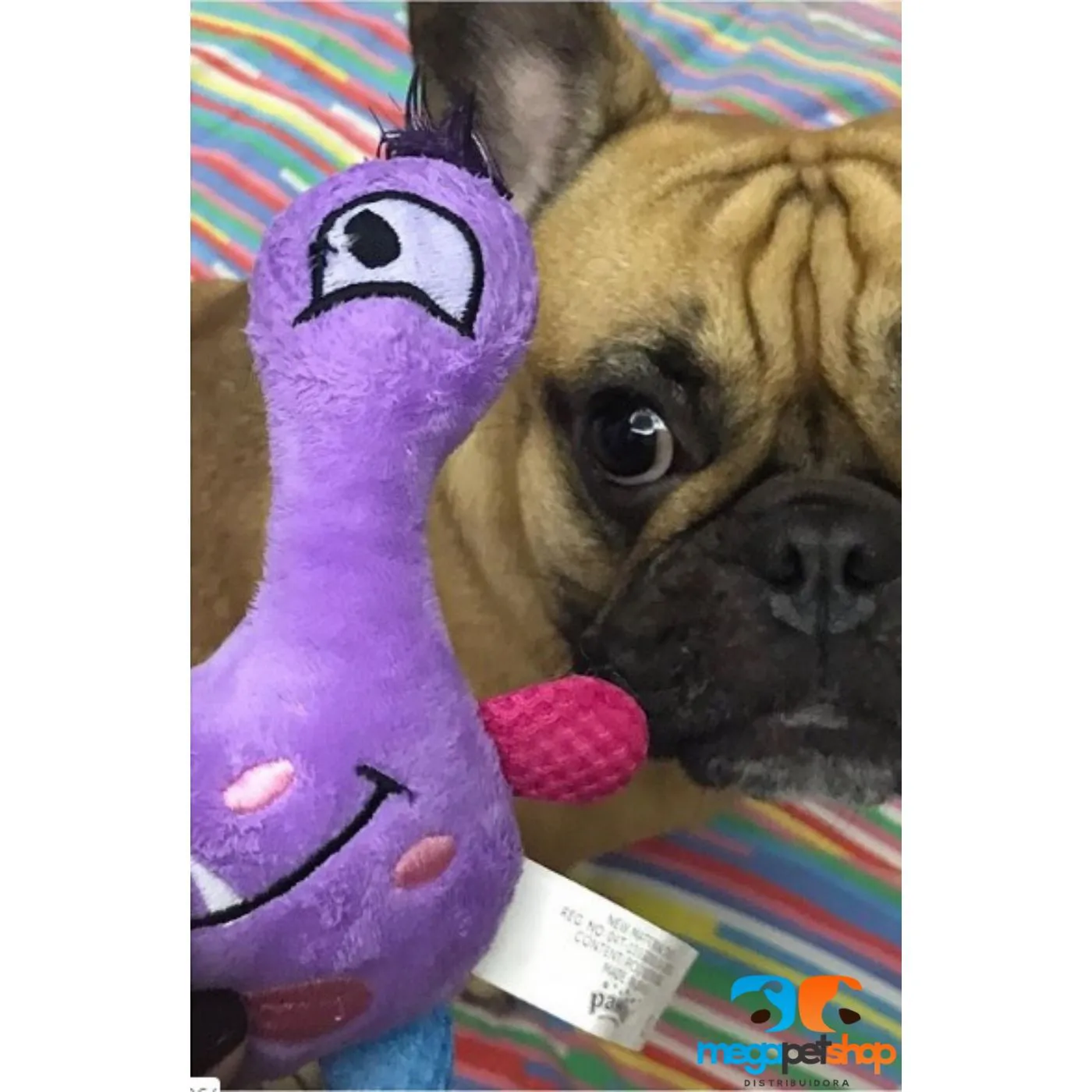LITTLE MONSTER VIOLET - VIVID LIFE