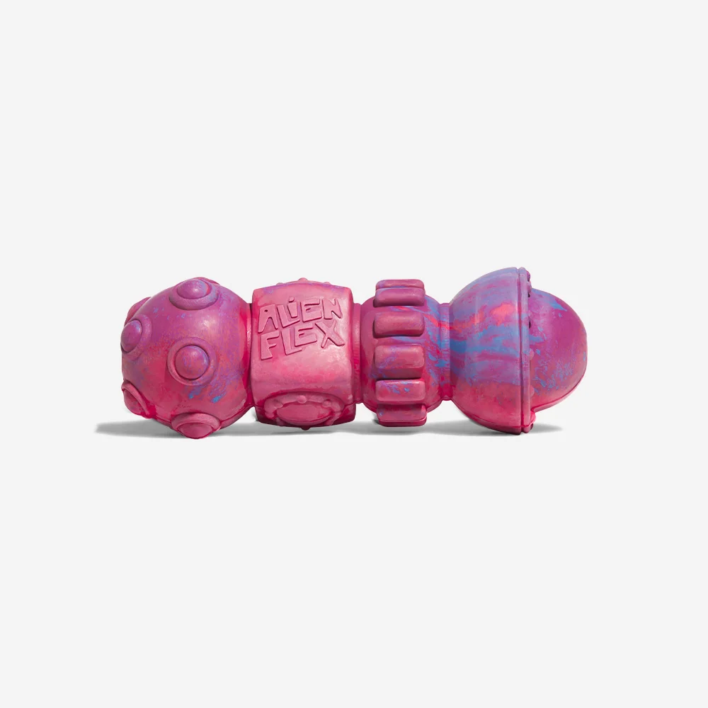 Alien Flex Space Station | Dog Toy