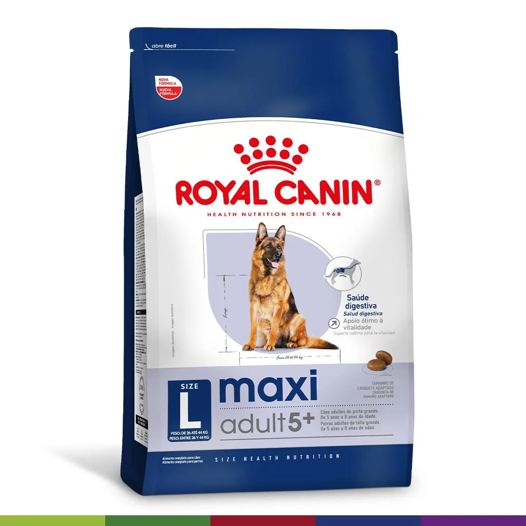 Maxi Adulto 5+