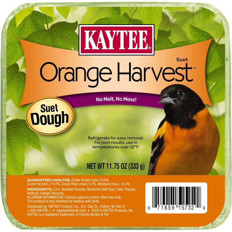 Kaytee Orange Harvest Suet Dough