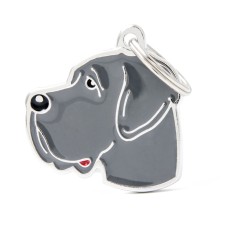 Friends Great Dane Blue ID Tag