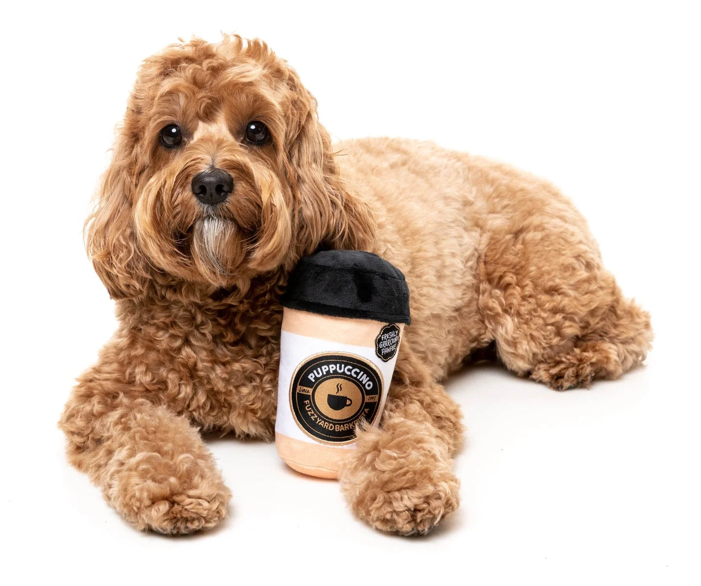Barkrista Puppuccino - Dog Toy