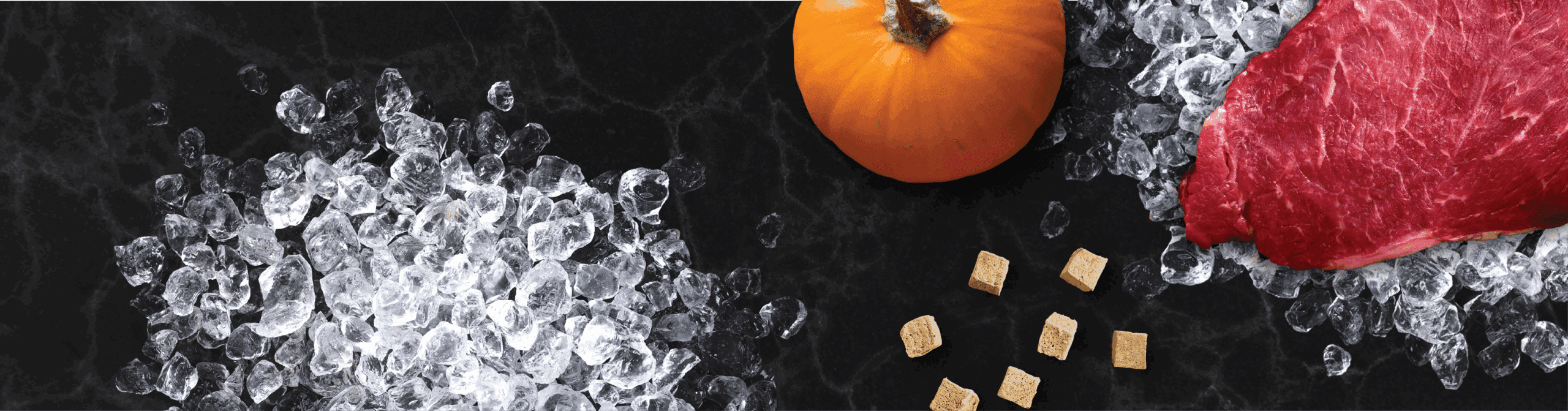 Freeze-Dried Raw <br> Beef & Pumpkin <br> Dog Food