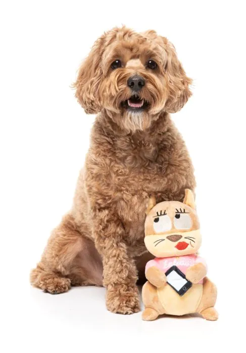 Dog Toy - #Ashleigh