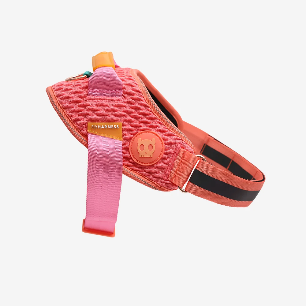 Gazelle | FlyHarness