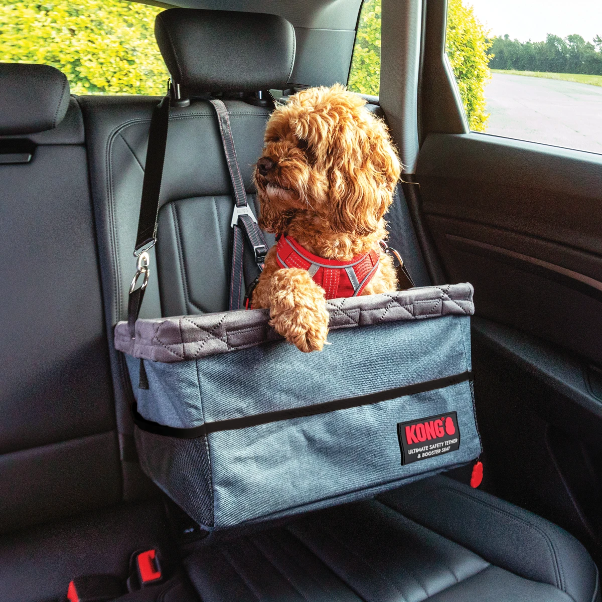 KONG Utility Safety Tether y Booster Seat
