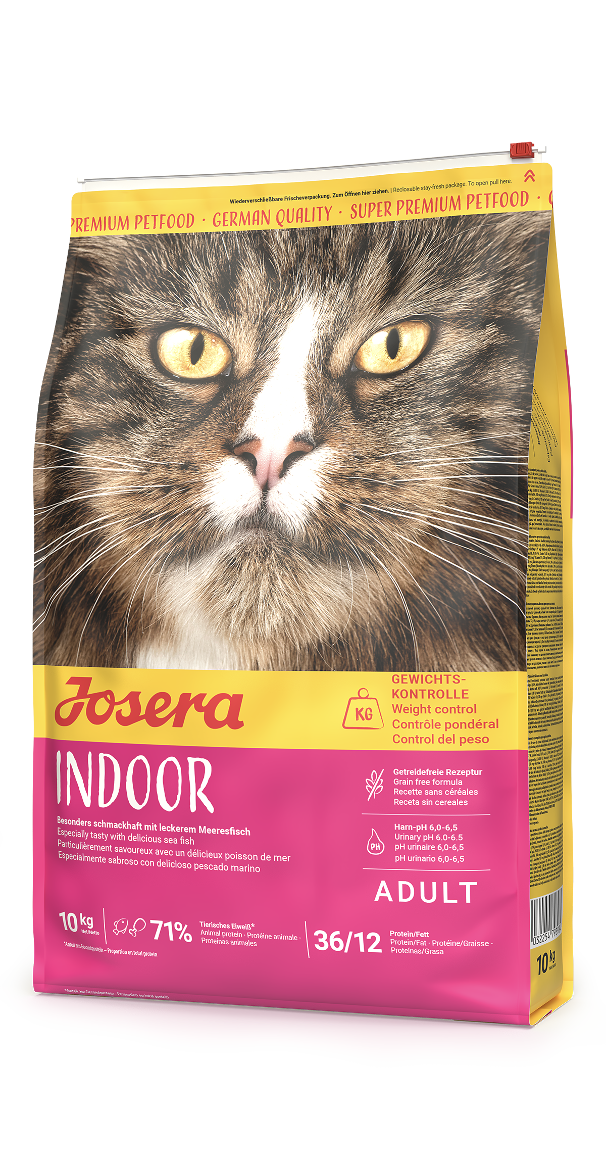 INDOOR CAT