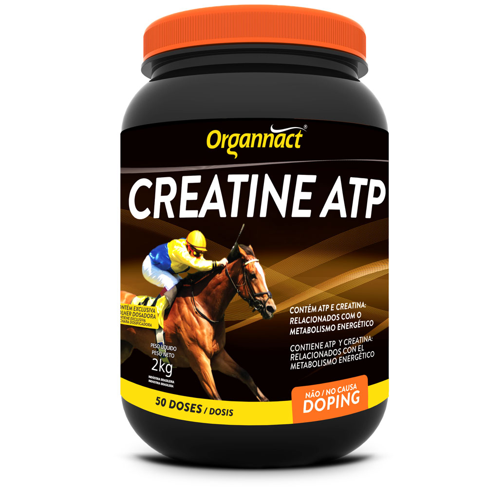 Creatine ATP Organnact
